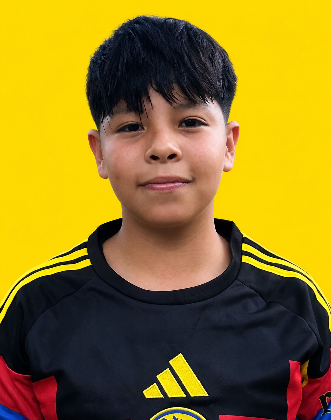 Moises Meneses Bernardino
