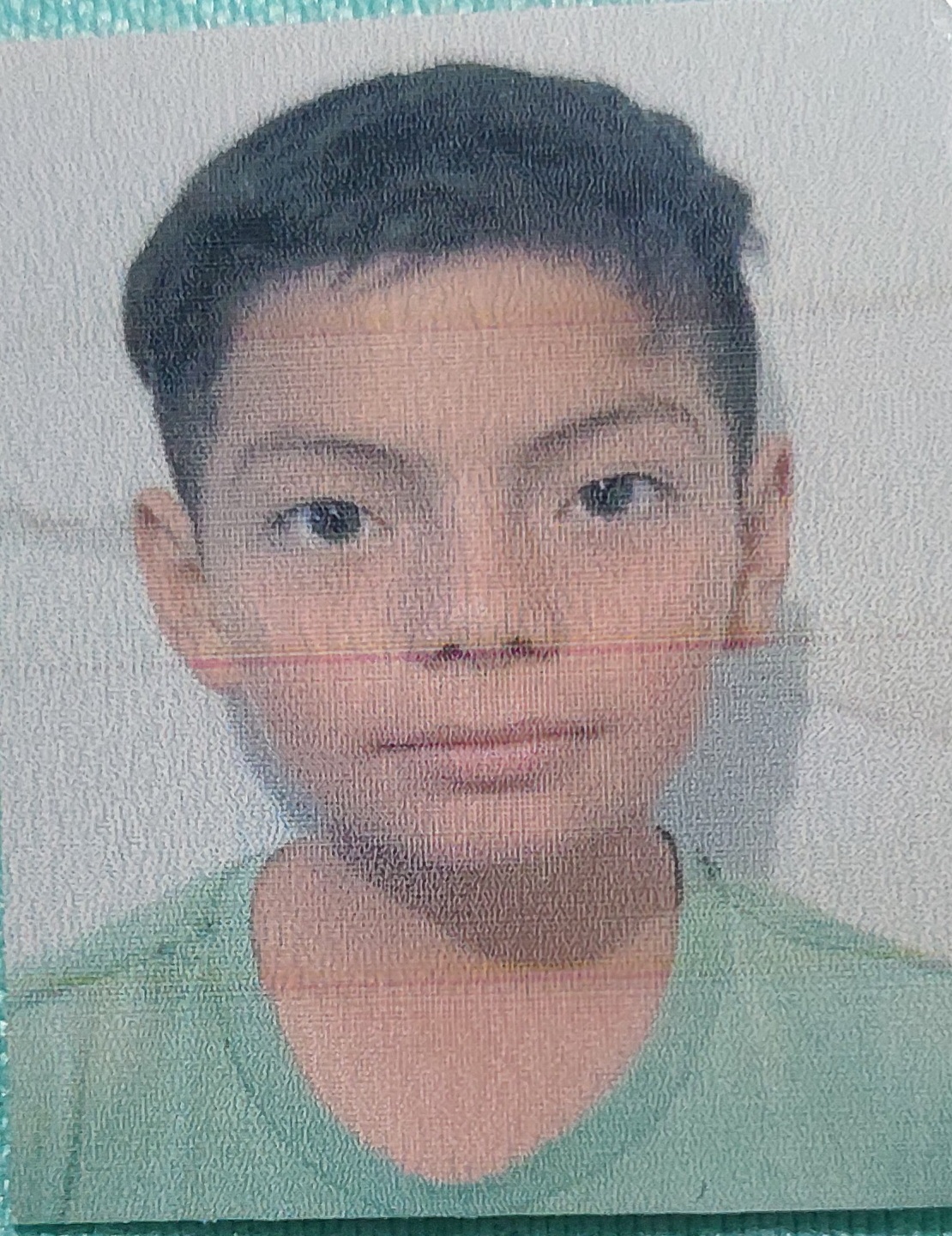 Dilan Javier Monroy Santillan