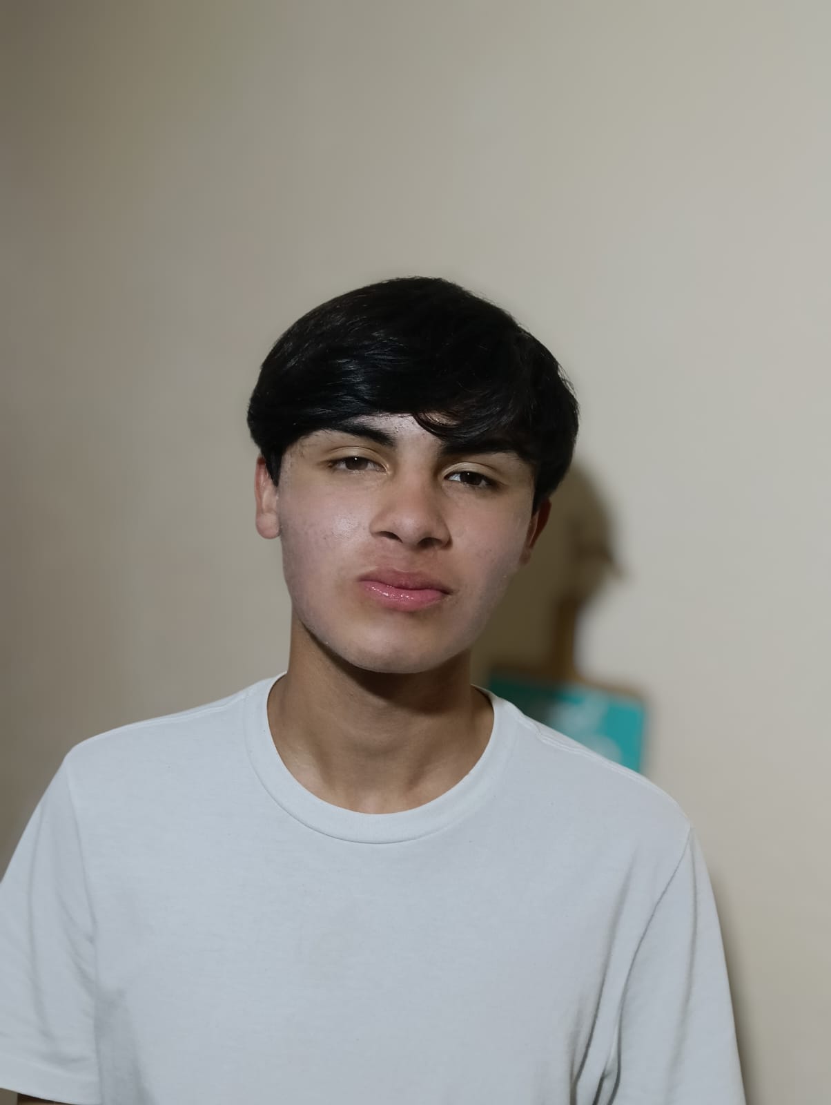 DONOVAN JOSAFAT VELAZQUEZ CUEVAS