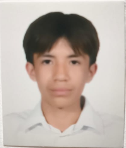 Sebastian Ramírez Hernández