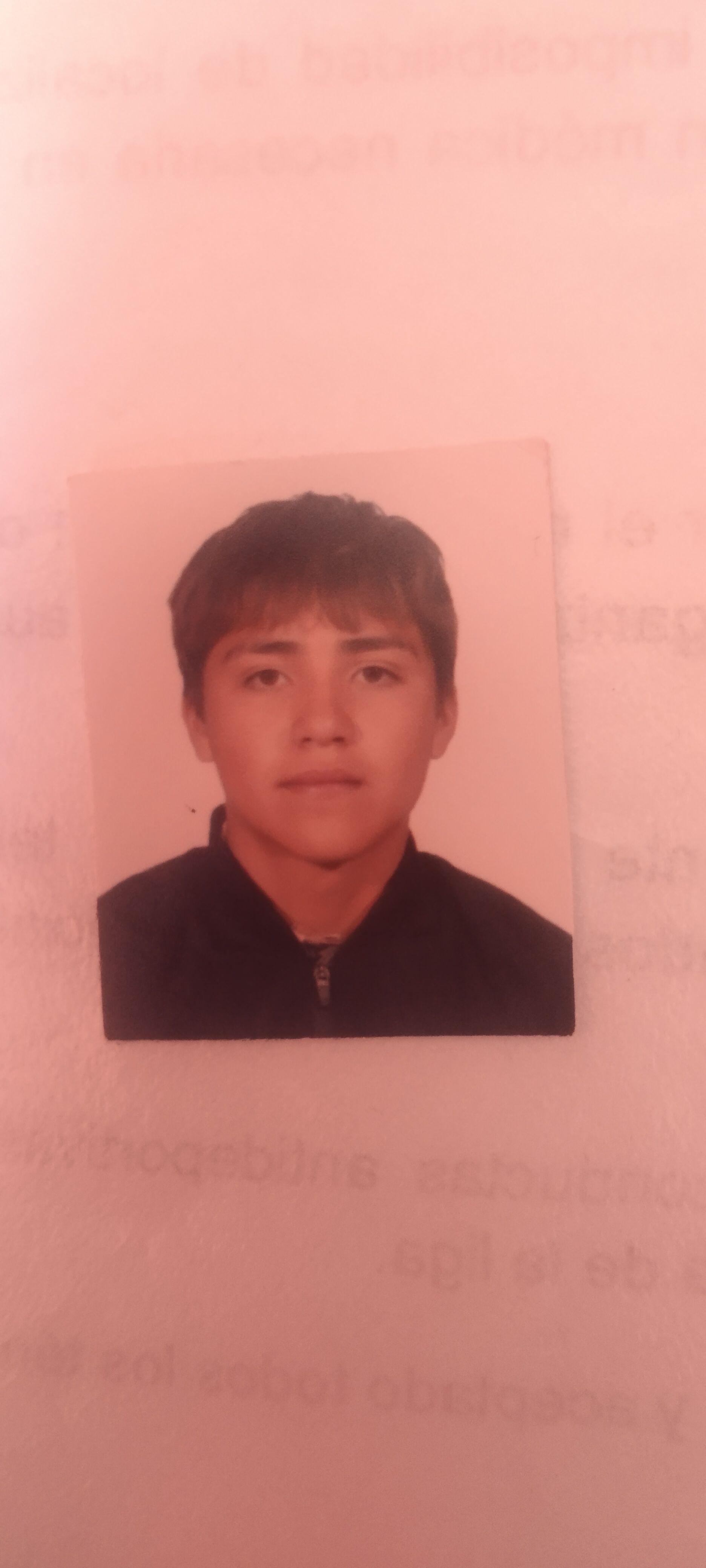 Said emilio Valdez Bustos