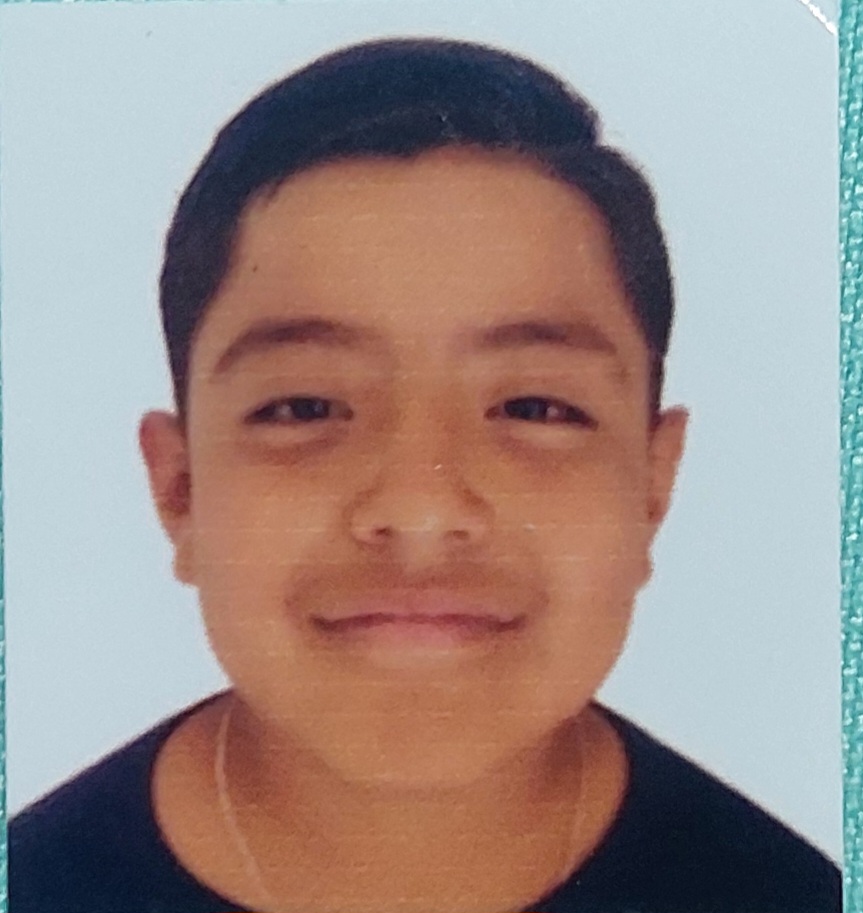 Luis Gael Reyes Flores