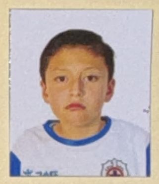 Alejandro Muciño Avendaño