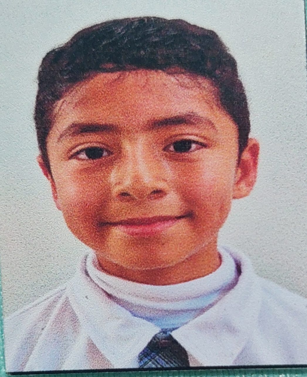 Luis Gael Hernandez Vega