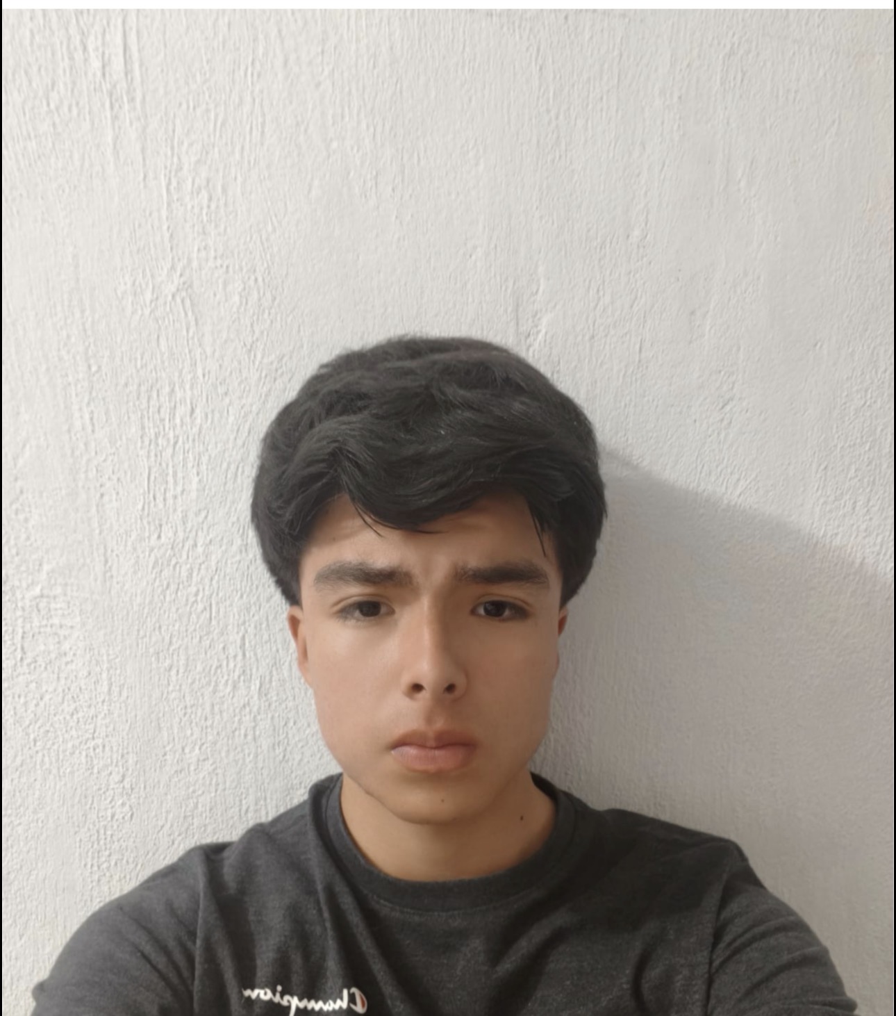 José Manuel Anaya Granados