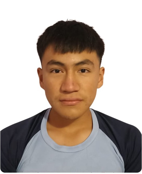 Alejandro Emiliano Sánchez Chávez